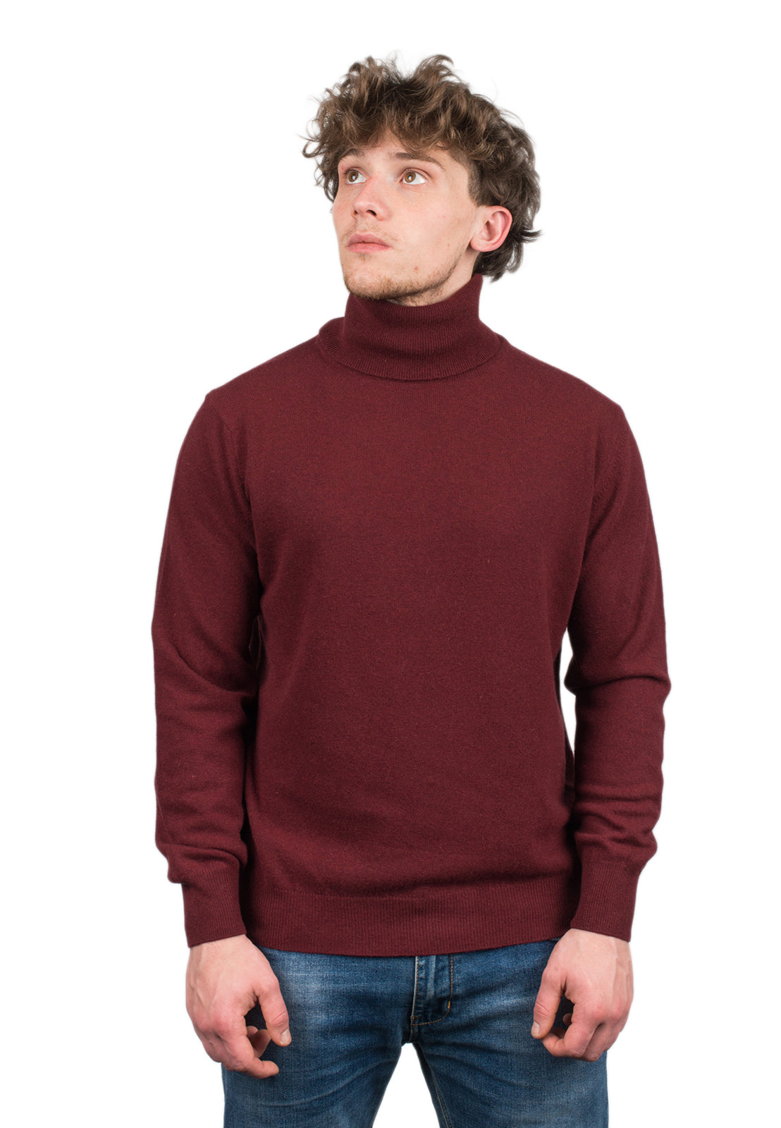 Men's Cashmere Blend Turtleneck, view 22